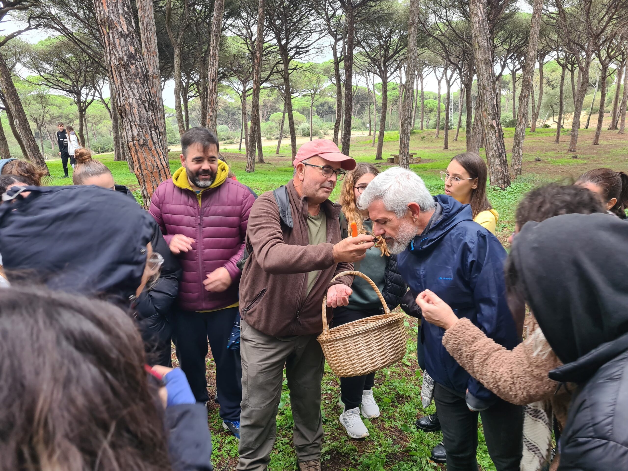 Jornadas micológicas del Parque Natural de la Breña y Las Marismas de Barbate